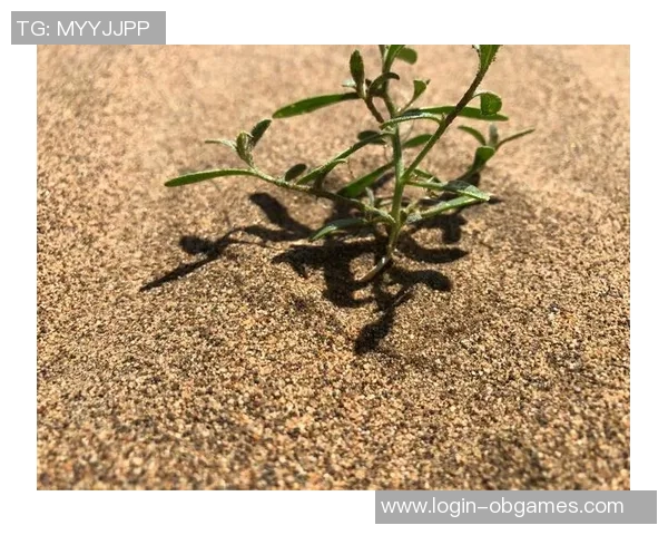 深度探讨张娜在DOTA2世界中的成长与挑战之旅 深度探讨张娜在DOTA2世界中的成长与挑战之旅